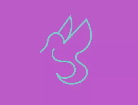 Digital-Sans-Frontières-marketing-melun