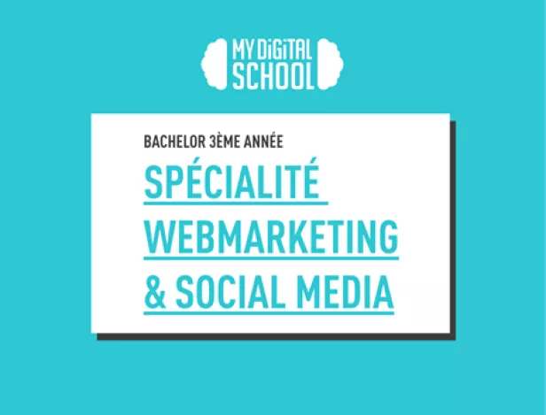 vignette-webmarketing